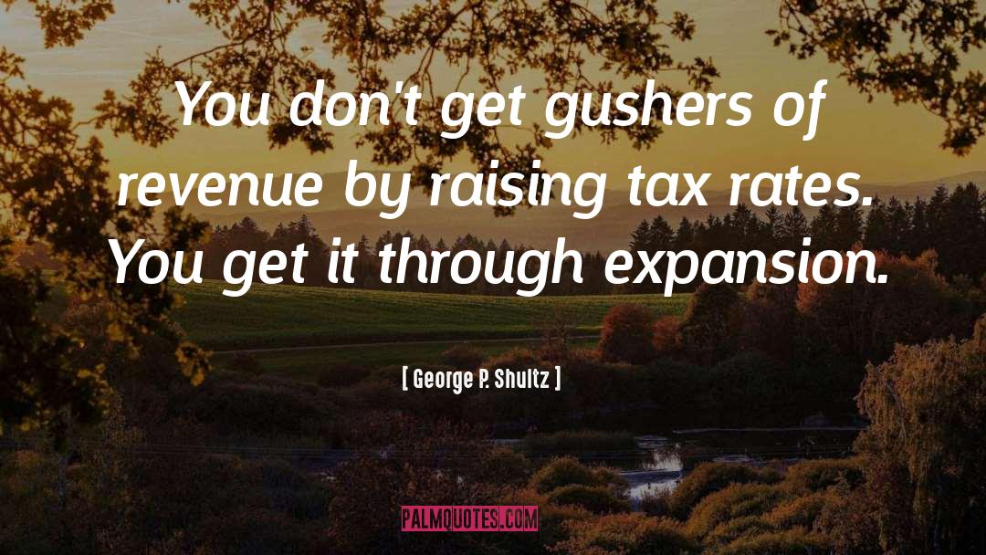 Revenue quotes by George P. Shultz