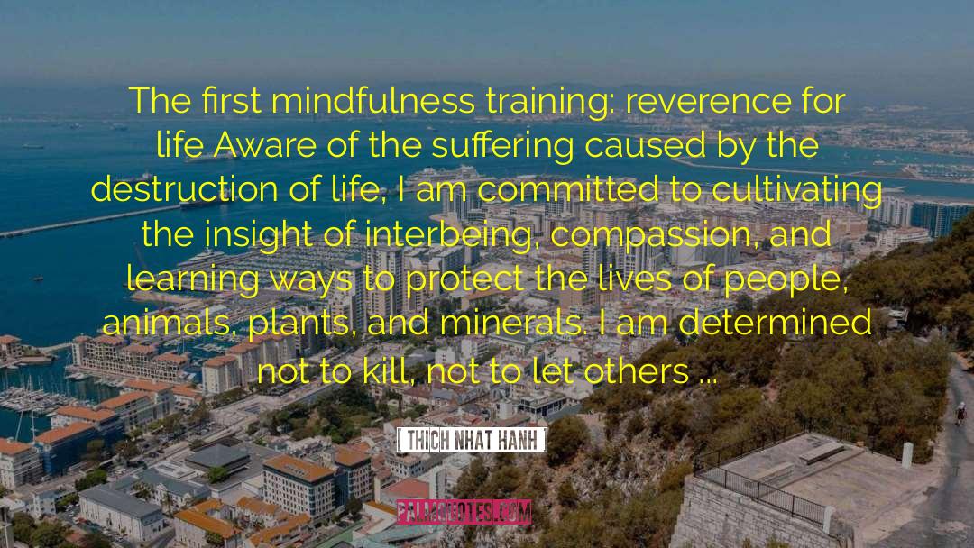 Reverence For Life quotes by Thich Nhat Hanh