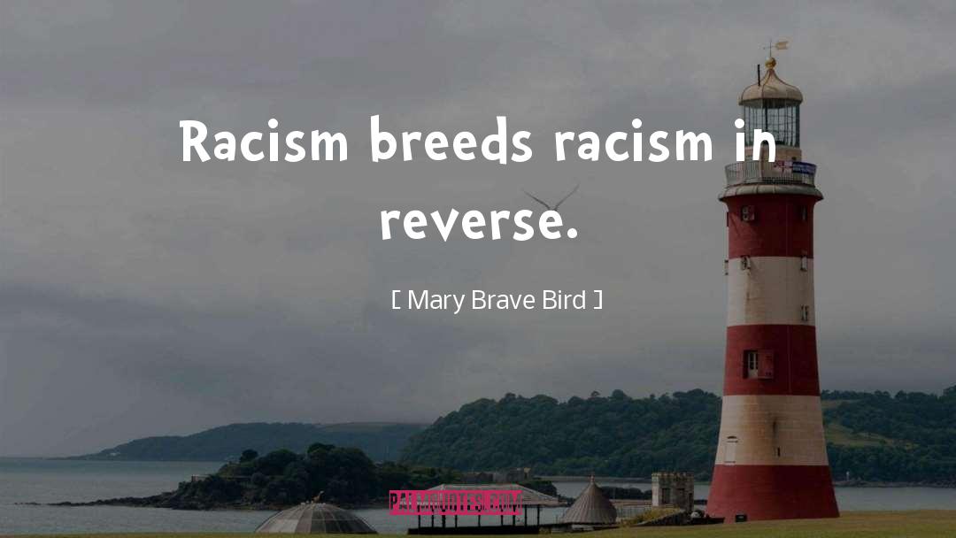 Reverse Racism quotes by Mary Brave Bird