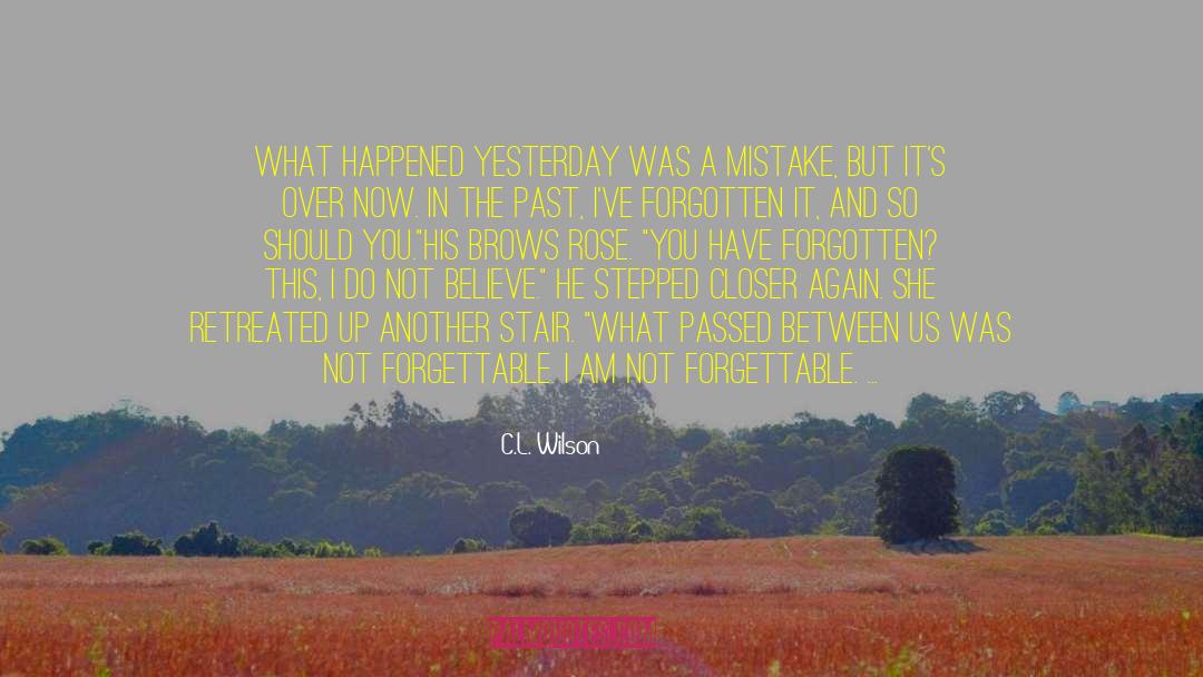 Revisiting The Past quotes by C.L. Wilson