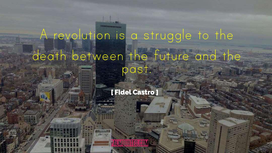 Revisiting The Past quotes by Fidel Castro