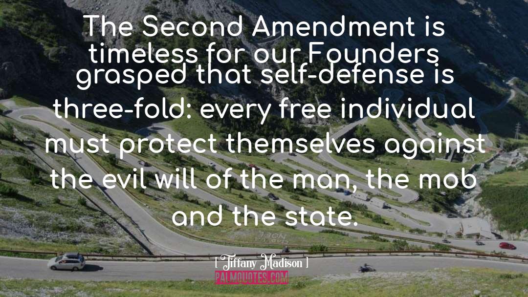 Revolution Founding Fathers quotes by Tiffany Madison