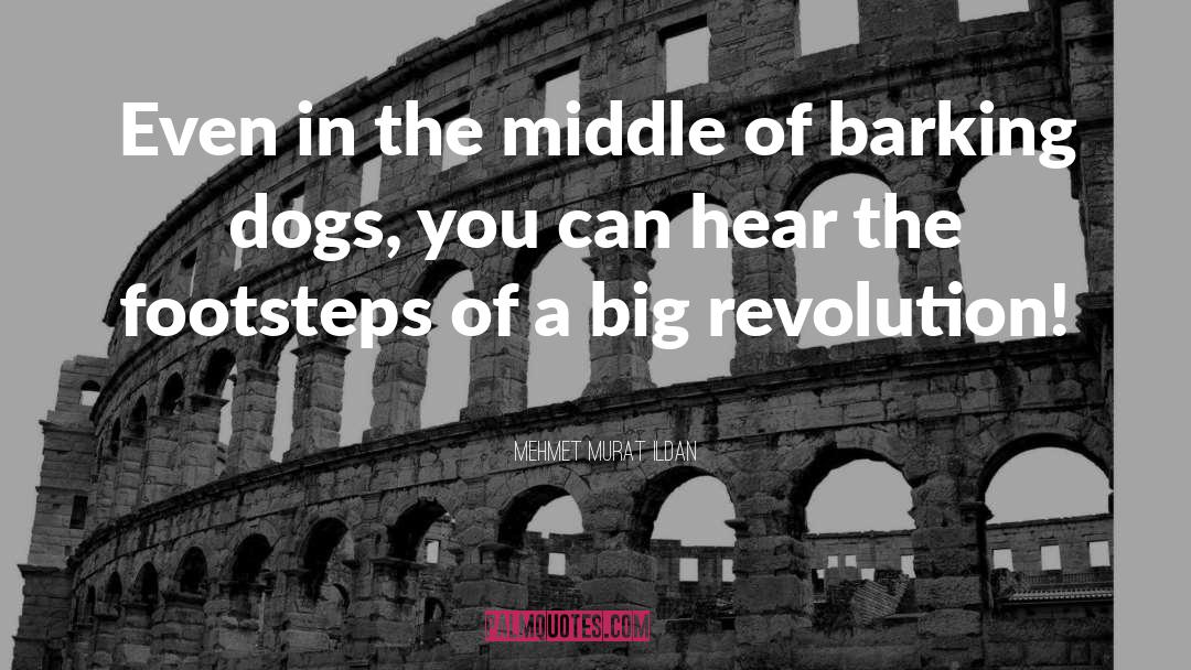 Revolution Francaise quotes by Mehmet Murat Ildan