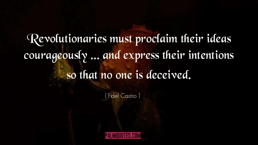 Revolutionaries quotes by Fidel Castro