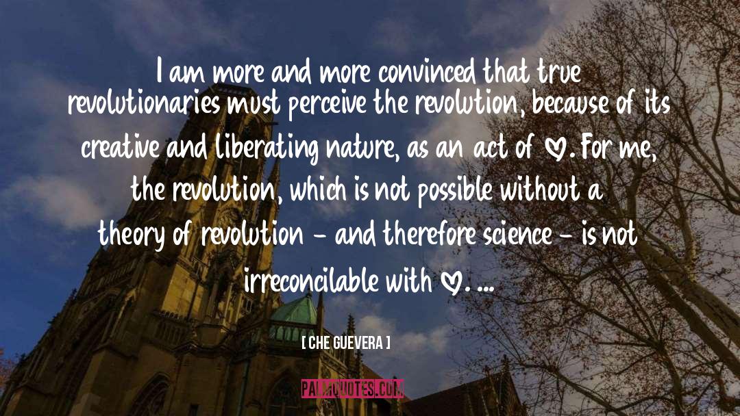 Revolutionaries quotes by Che Guevera