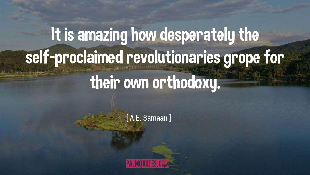 Revolutionary Thinking quotes by A.E. Samaan