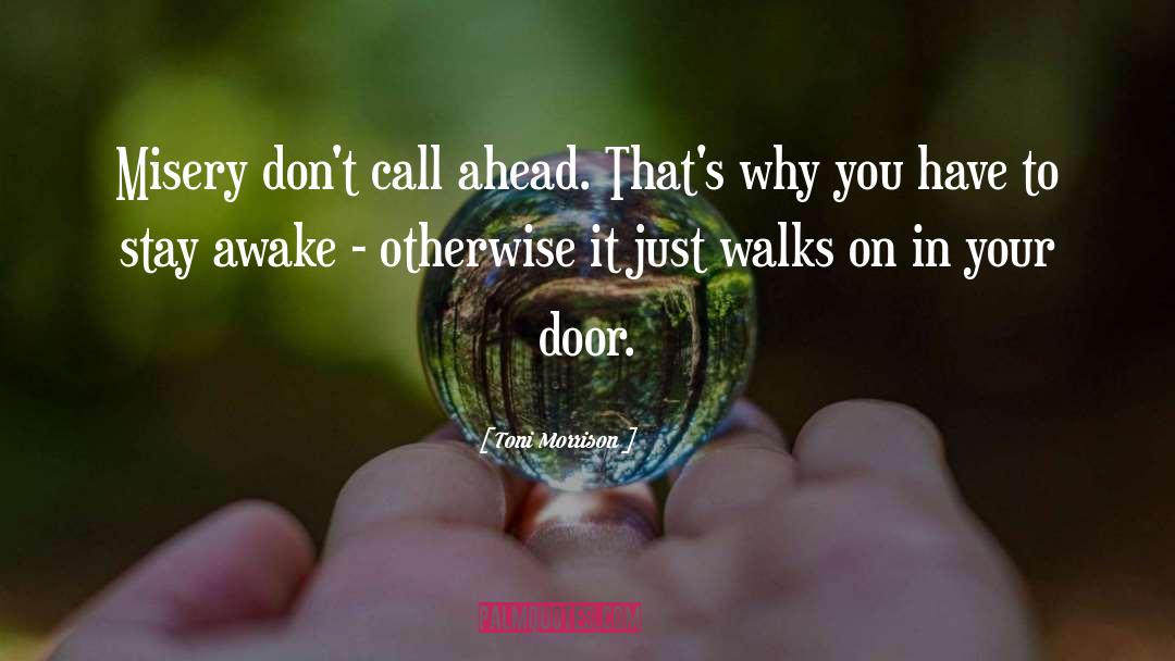 Revolving Doors quotes by Toni Morrison