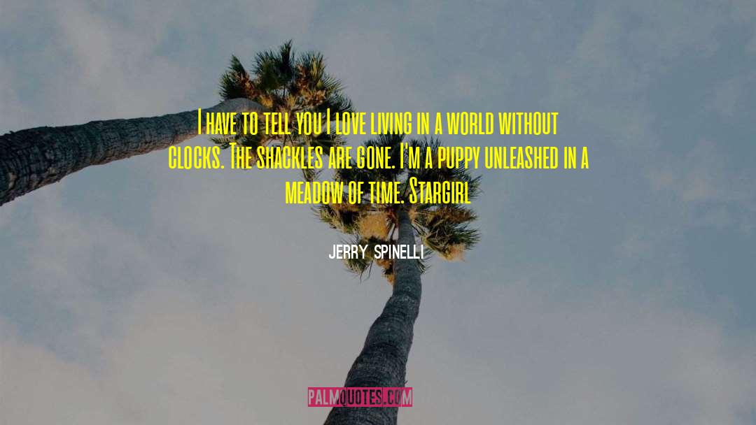 Reward Of Love quotes by Jerry Spinelli