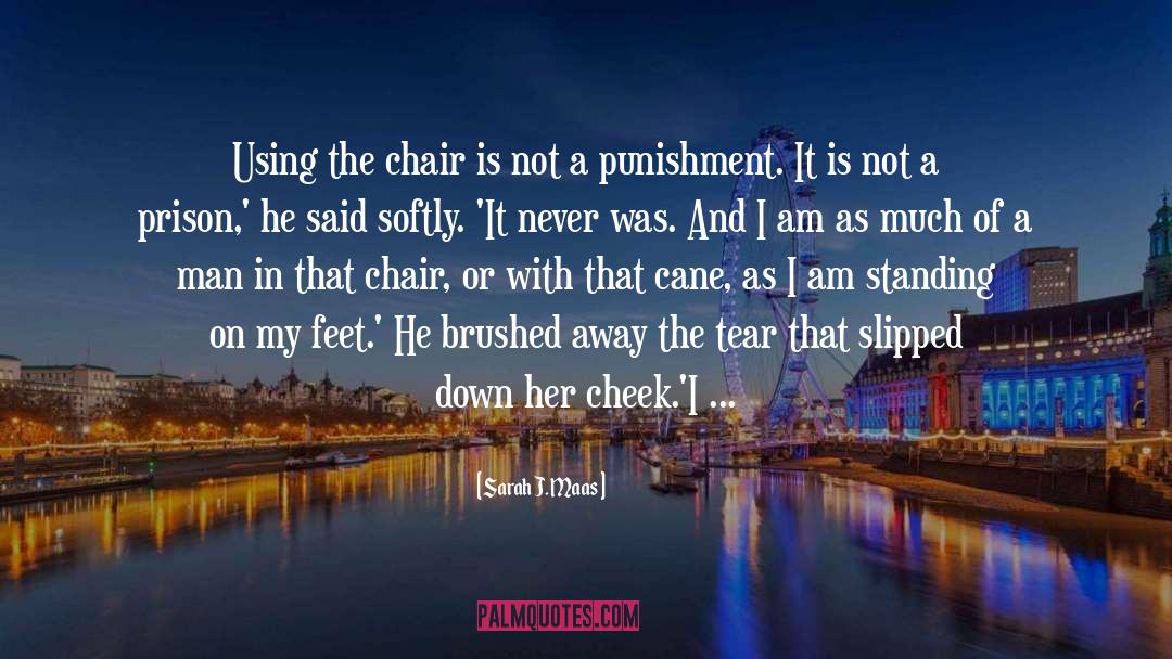 Rewards And Punishment quotes by Sarah J. Maas
