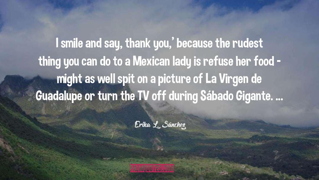 Rezado Virgen quotes by Erika L. Sánchez