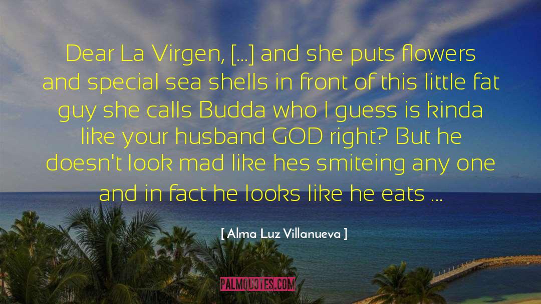 Rezado Virgen quotes by Alma Luz Villanueva