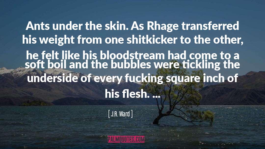 Rhage And Tohrment quotes by J.R. Ward