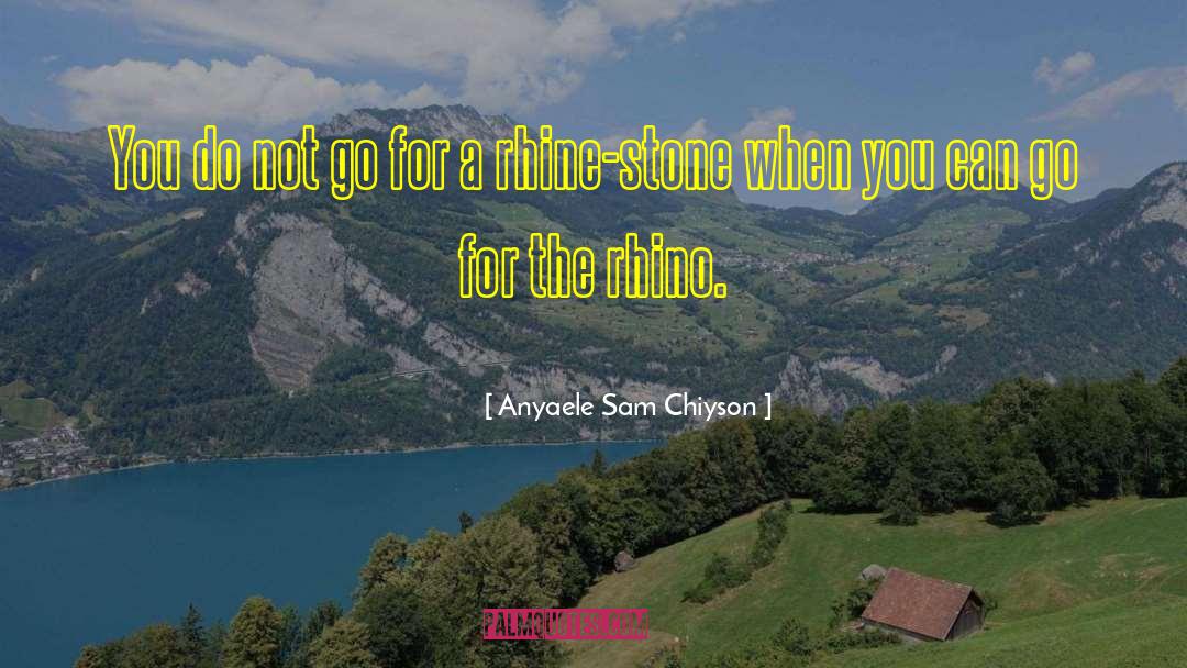 Rhine Ellery quotes by Anyaele Sam Chiyson