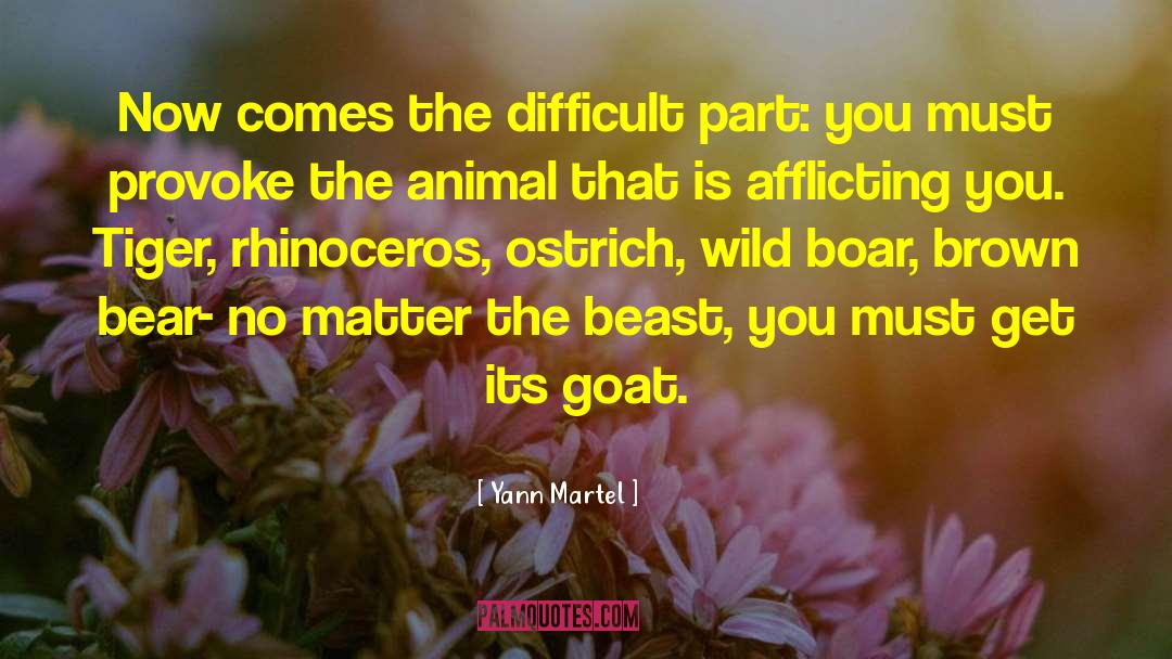 Rhinoceros quotes by Yann Martel