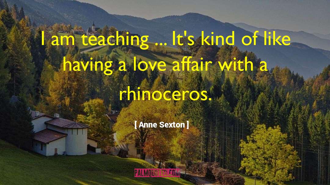 Rhinoceros quotes by Anne Sexton