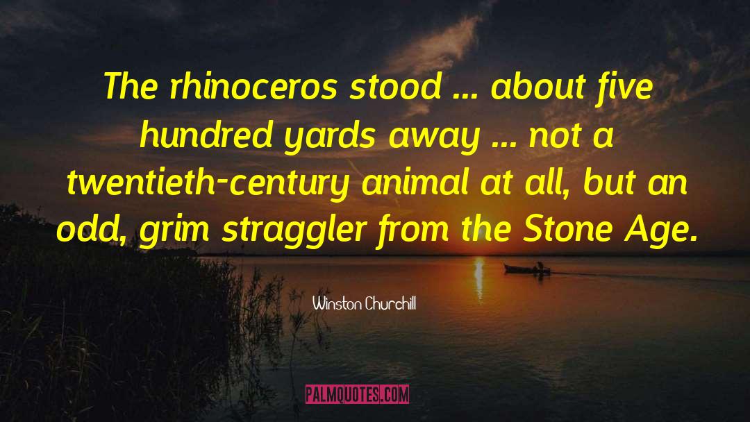 Rhinoceros quotes by Winston Churchill