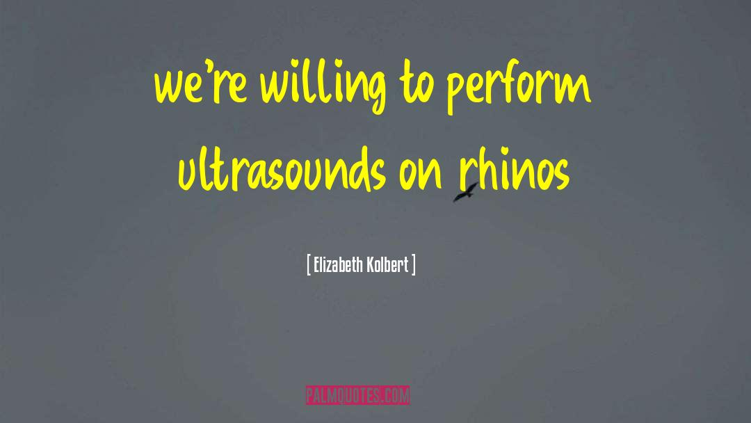 Rhinos quotes by Elizabeth Kolbert