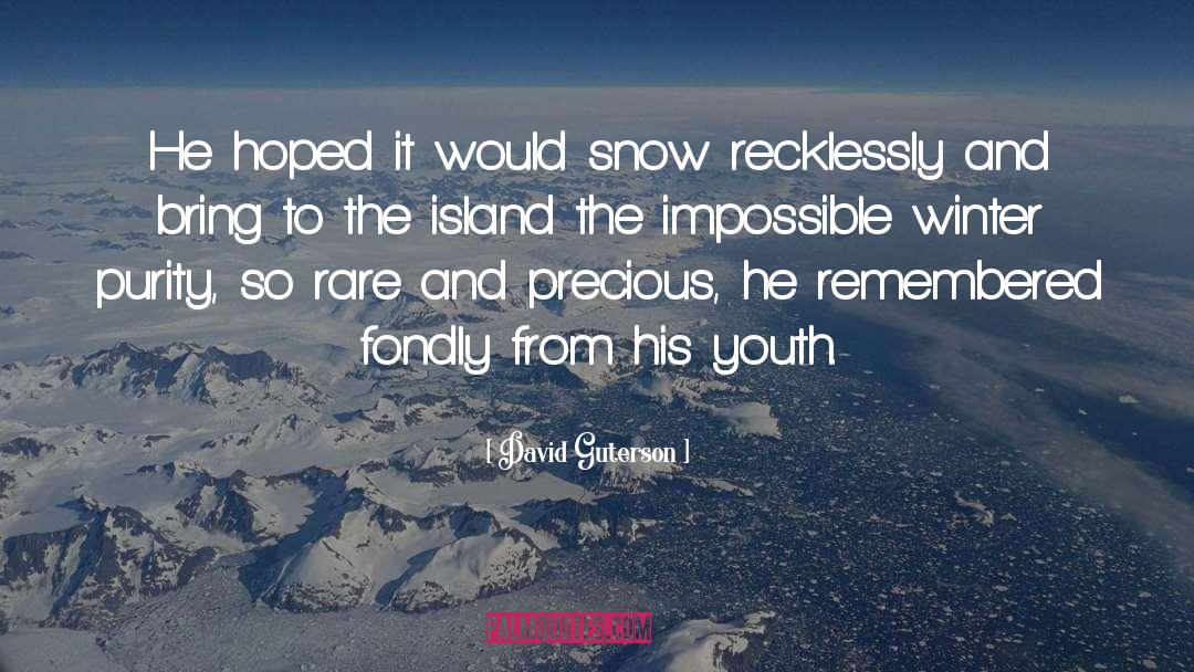 Rhode Island quotes by David Guterson