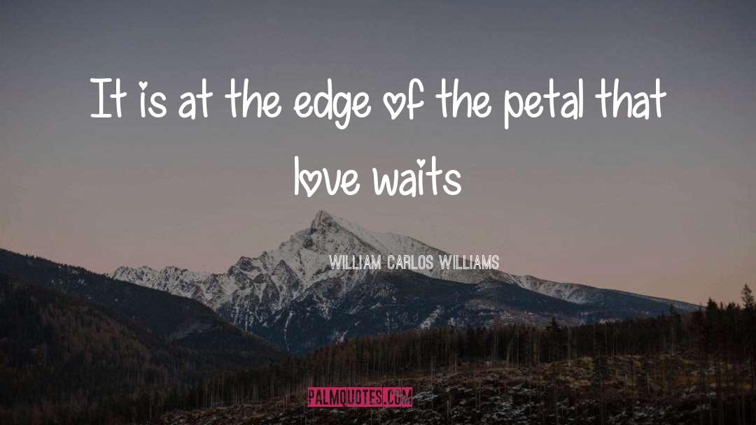 Rhododendron Petals quotes by William Carlos Williams