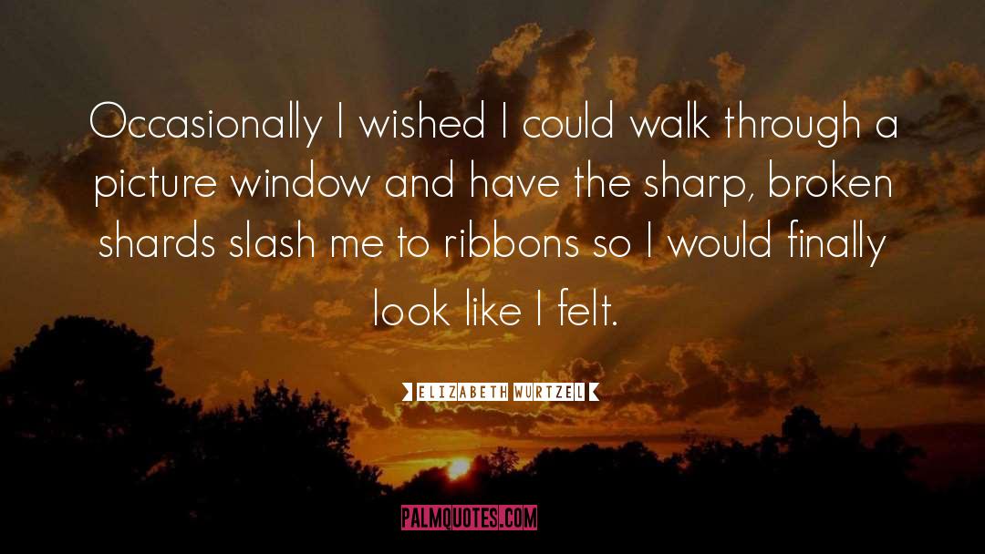 Ribbons quotes by Elizabeth Wurtzel