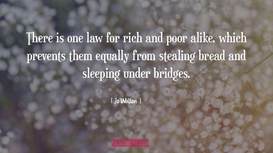 Rich And Poor quotes by Jo Walton