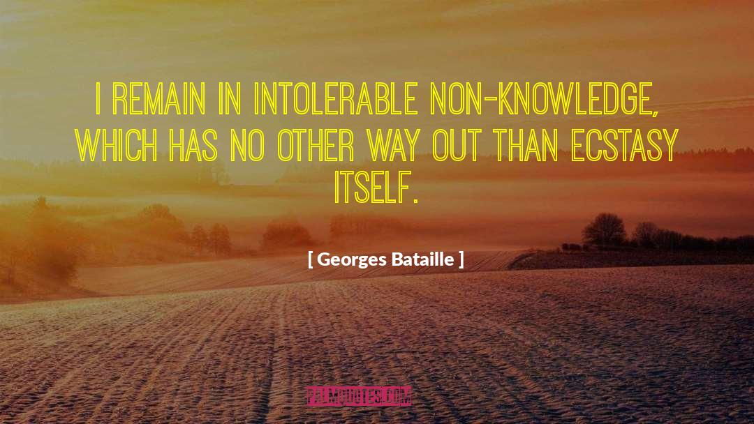Rich Knowledge quotes by Georges Bataille