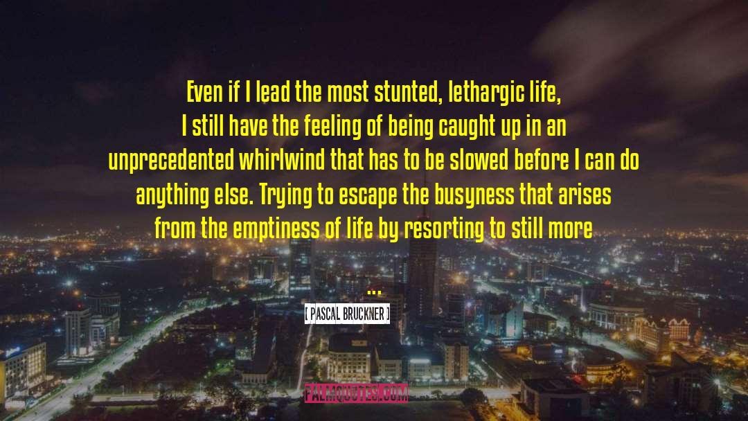 Rich Life quotes by Pascal Bruckner