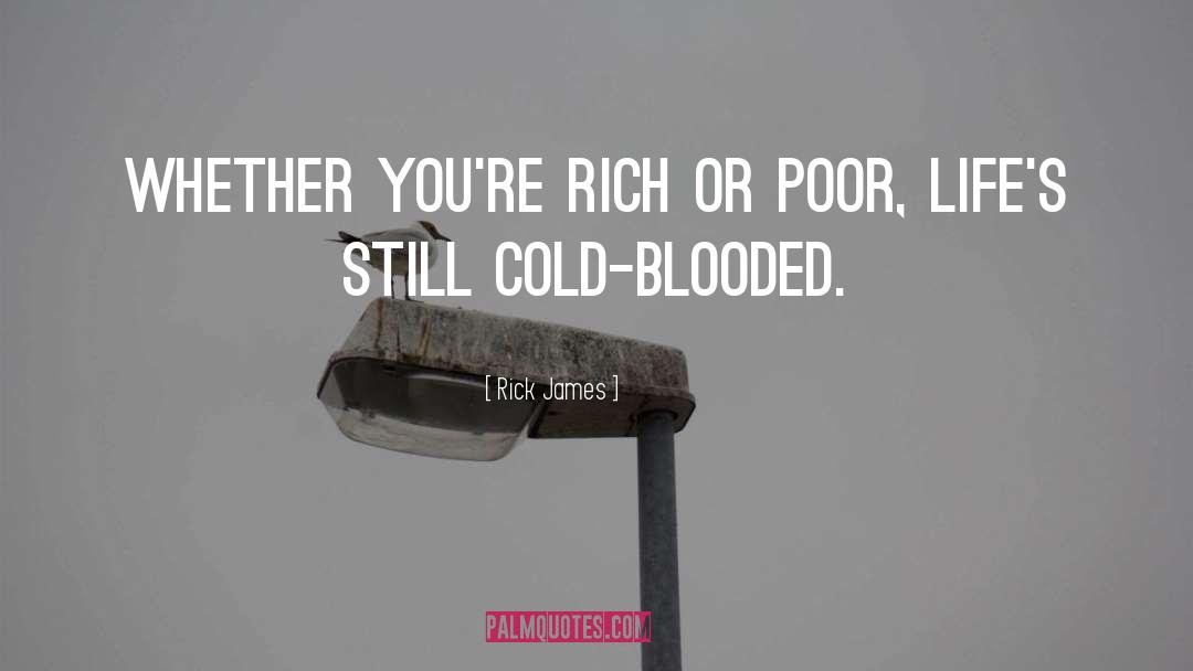 Rich Or Poor quotes by Rick James