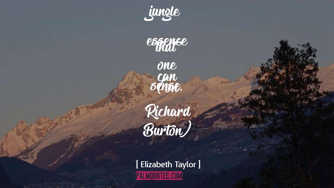 Richard Burton quotes by Elizabeth Taylor