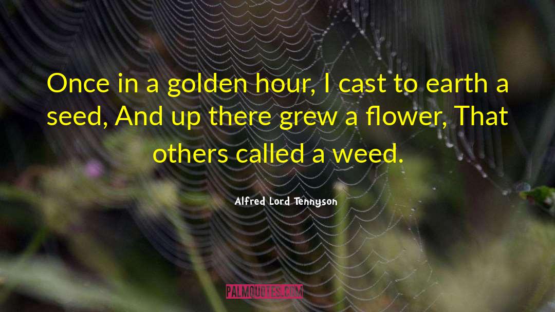 Richters Seeds quotes by Alfred Lord Tennyson