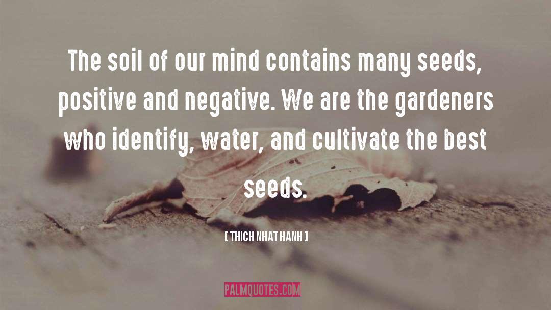 Richters Seeds quotes by Thich Nhat Hanh