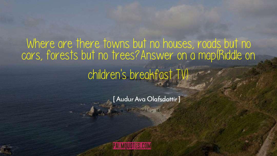 Riddle quotes by Audur Ava Olafsdottir