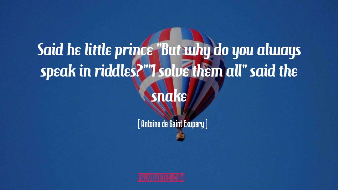 Riddles quotes by Antoine De Saint Exupery