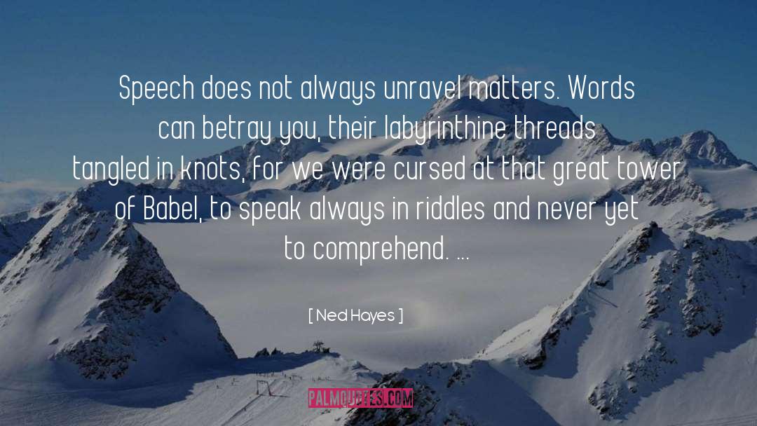 Riddles quotes by Ned Hayes