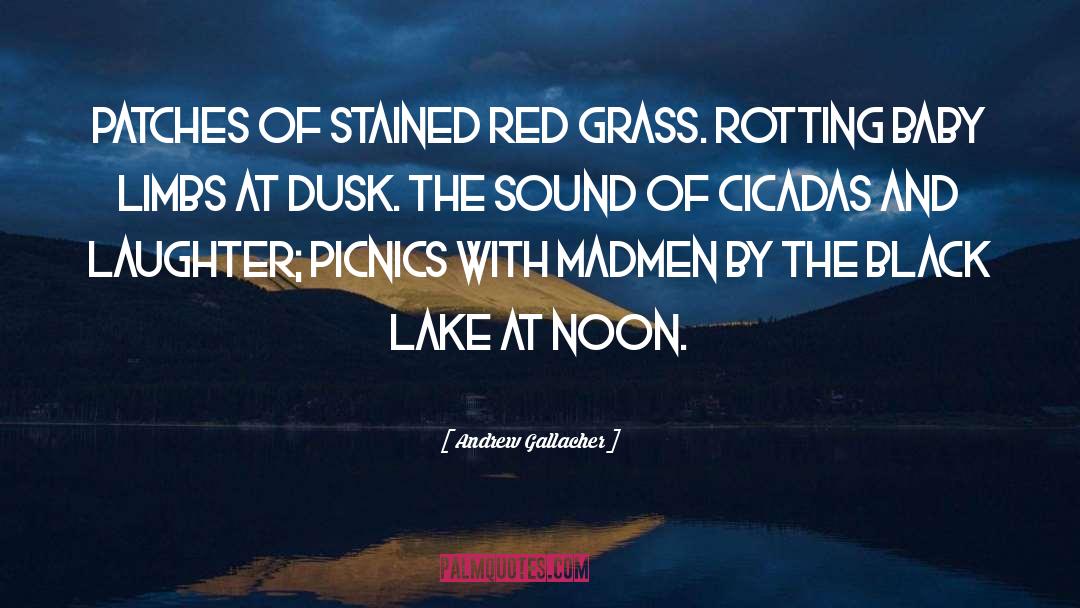 Rideau Lake quotes by Andrew Gallacher