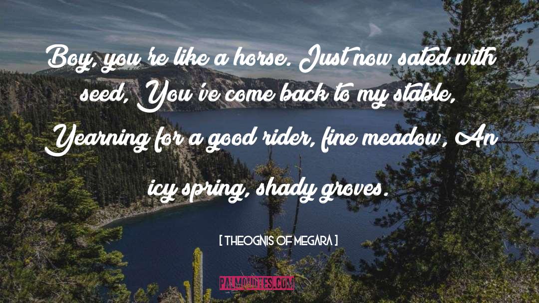Rider quotes by Theognis Of Megara