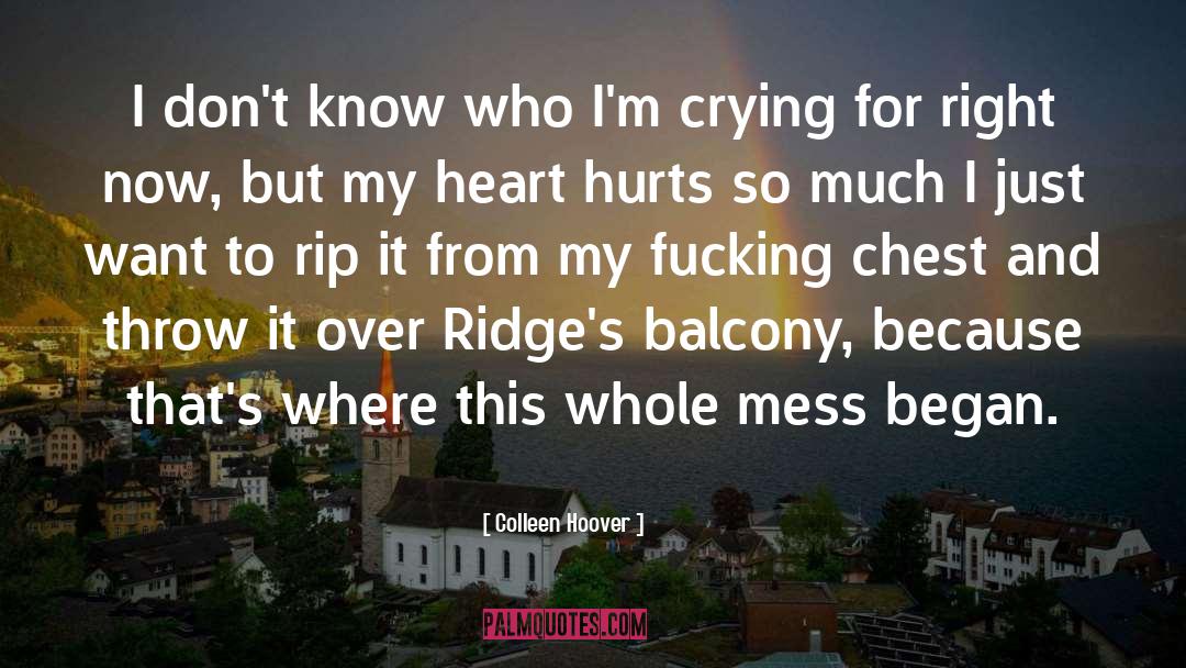 Ridges quotes by Colleen Hoover