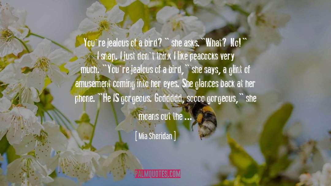 Ridiculousness quotes by Mia Sheridan