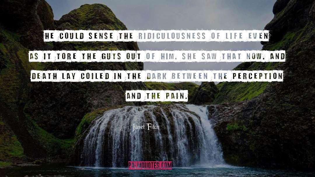 Ridiculousness quotes by Janet Fitch
