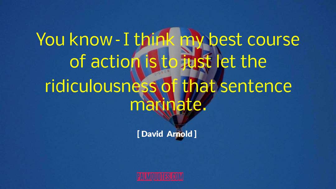 Ridiculousness quotes by David  Arnold