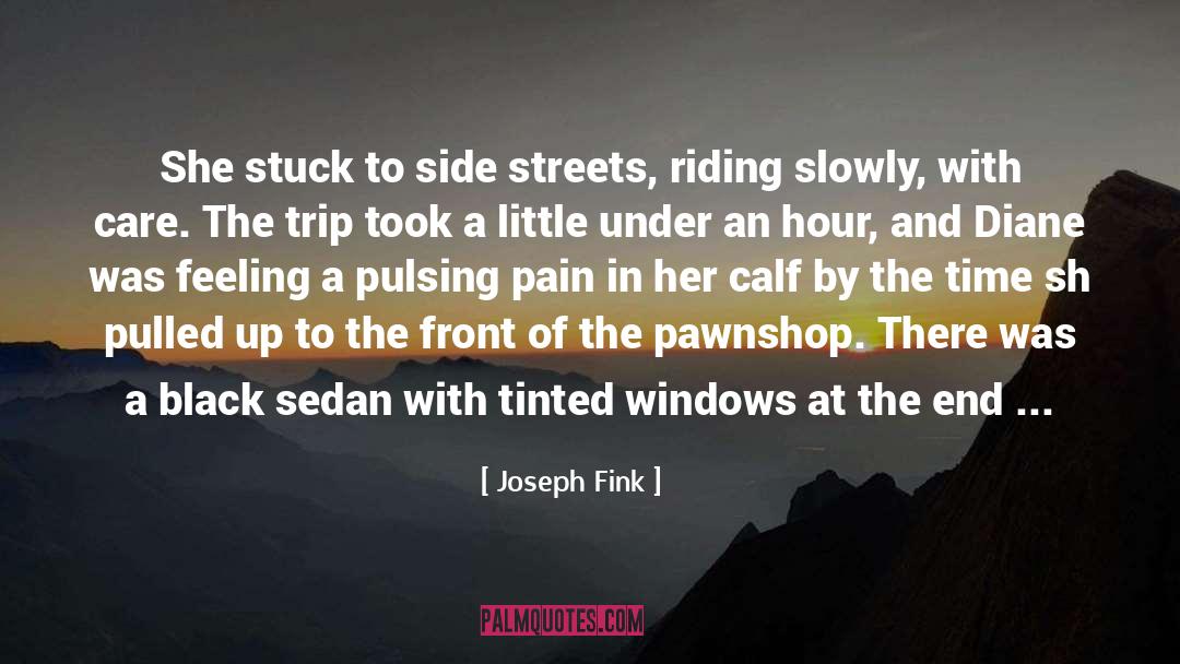 Riding A Bicycle quotes by Joseph Fink