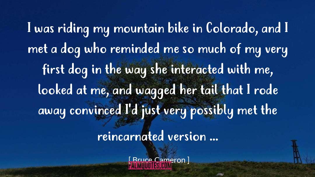 Riding quotes by Bruce Cameron