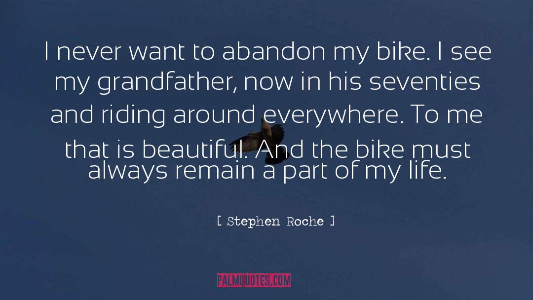 Riding The Fence quotes by Stephen Roche