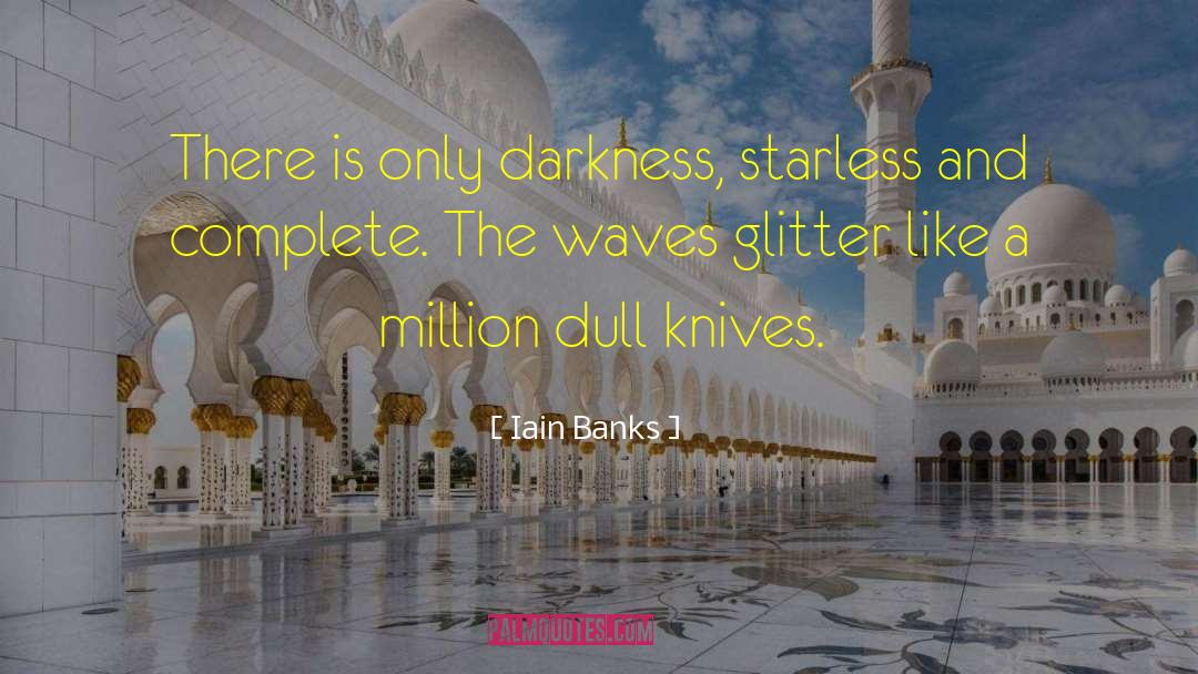 Riding The Waves quotes by Iain Banks