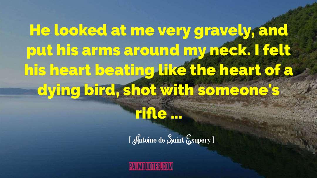 Rifle quotes by Antoine De Saint Exupery