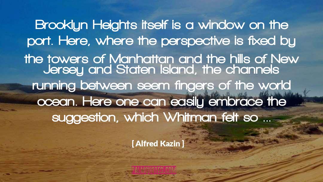 Riflessi New York quotes by Alfred Kazin