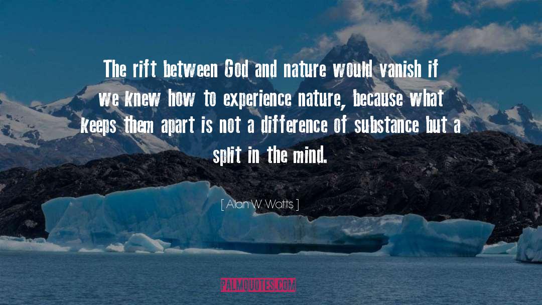 Rift quotes by Alan W. Watts