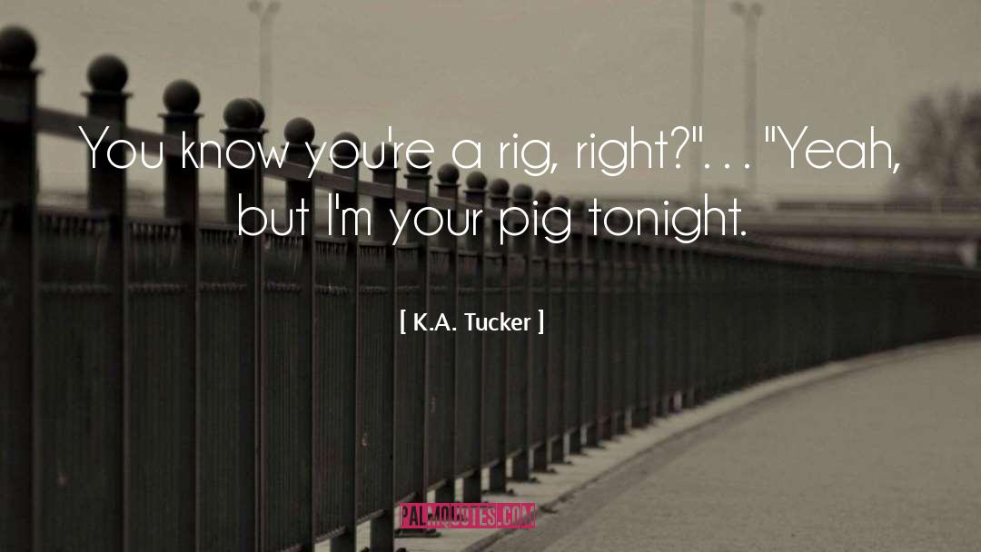 Rig quotes by K.A. Tucker
