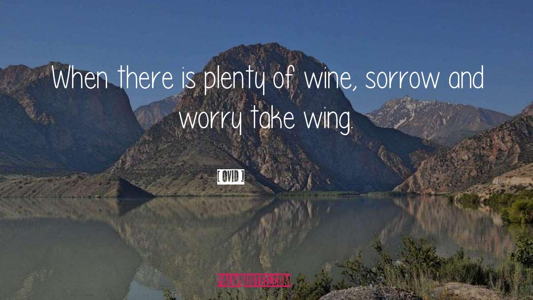 Rigamarole Wine quotes by Ovid