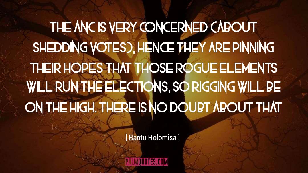 Rigging quotes by Bantu Holomisa